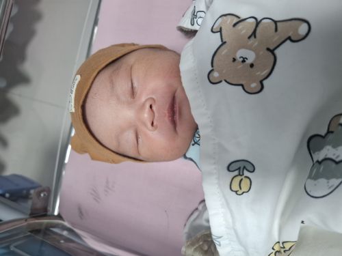 Habis mandi